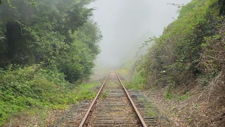 West coast rail foggy wallpaper