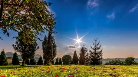 Serene Sunny Day in Nature wallpaper