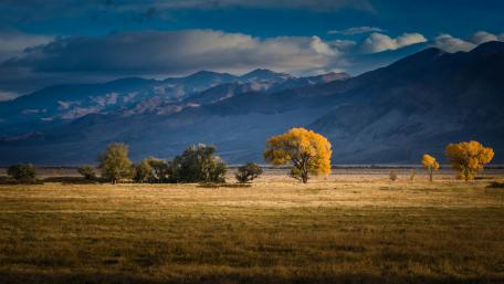 Golden Autumn in the Valley wallpaper