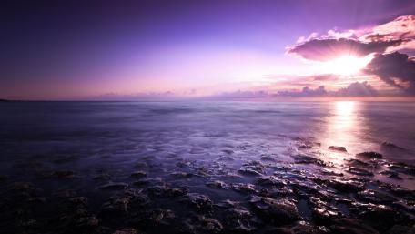 Purple seascape wallpaper