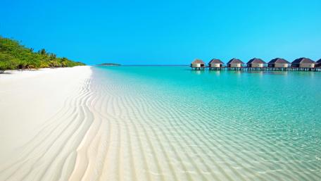 Tropical landscape wallpaper
