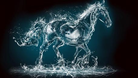 Water horse wallpaper