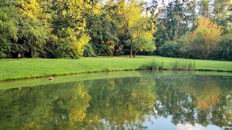 Serene Reflection of Nature's Beauty in Autumn wallpaper