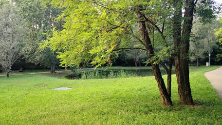 Tranquil Embrace of Nature's Greenery wallpaper