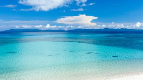 Tropical Serenity in Blue wallpaper