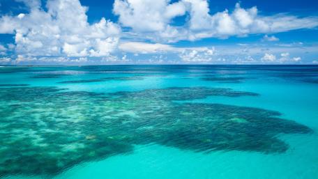 Serenity of the Blue Seascape wallpaper