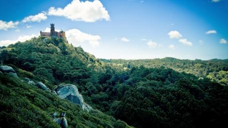 Majestic Castle Surrounded by Lush Wilderness wallpaper