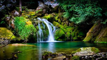 Waterfall Oasis in a Lush Forest wallpaper