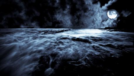 Moonlit Waves and Enchanted Night Sky wallpaper