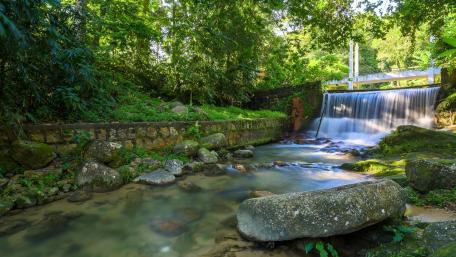 Serene Forest Stream with Cascading Waterfall wallpaper