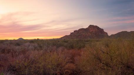 Serene Desert Landscape at Dusk wallpaper