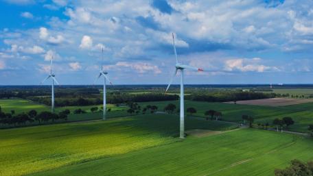 Windmill wallpaper