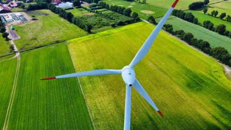 windmill wallpaper