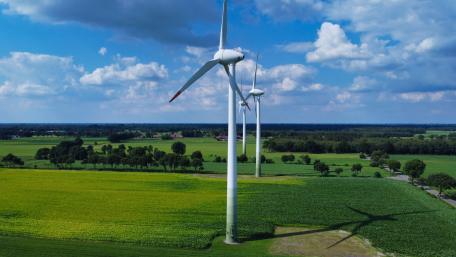 windmill wallpaper