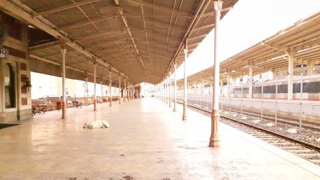 Train Station wallpaper