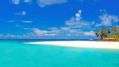 Tropical beach wallpaper