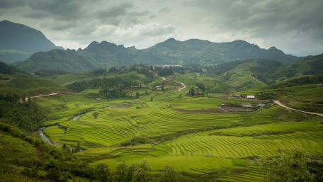 Sapa rice paddies wallpaper