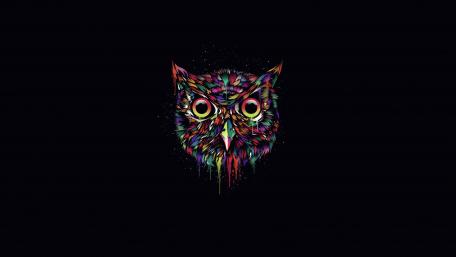 Vibrant Psychedelic Owl in the Dark wallpaper