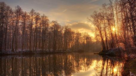 Winter Serenity by the Bayou wallpaper