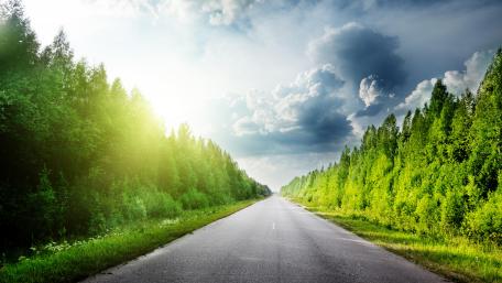Straight way in sunlight wallpaper
