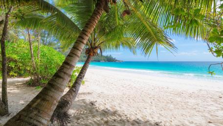 Tropical bay wallpaper