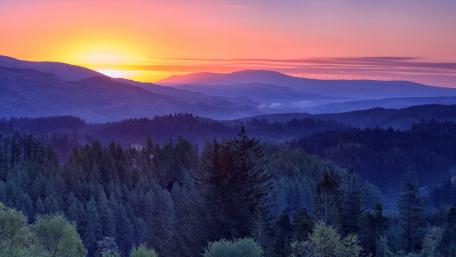Forested mountains wallpaper