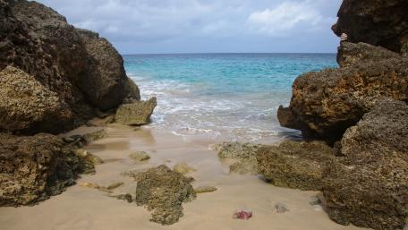 Tranquil Shoreline with Clear Blue Waters wallpaper