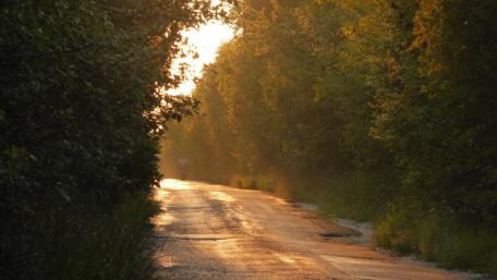 Serene Sunset on a Forest Trail wallpaper