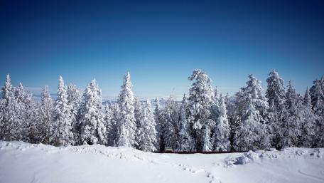 Serene Winter Wonderland Landscape wallpaper