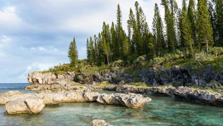 Serene Coastal Forest Scene wallpaper