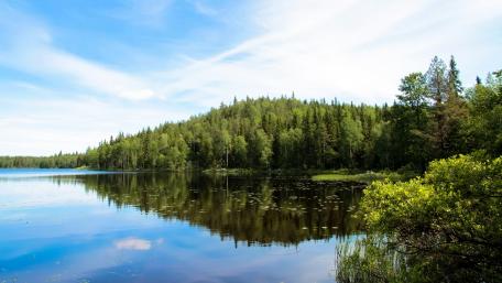 Serene Lake with Lush Green Reflections wallpaper