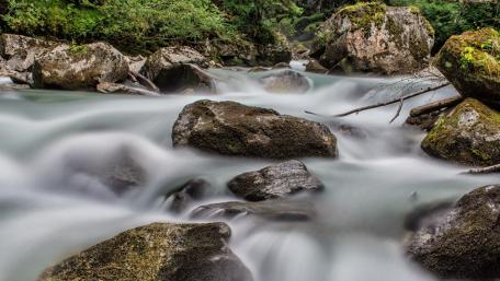 Serene Flow of a Mountain Creek wallpaper