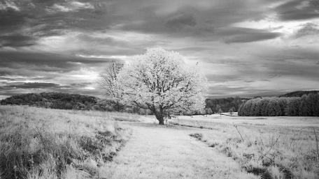 Silent Serenity in Winter Landscape wallpaper
