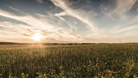 Serene Morning Over Rural Fields wallpaper