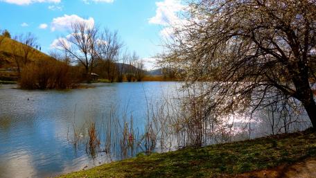 Serene Lakeside Escape for Tranquility Lovers wallpaper