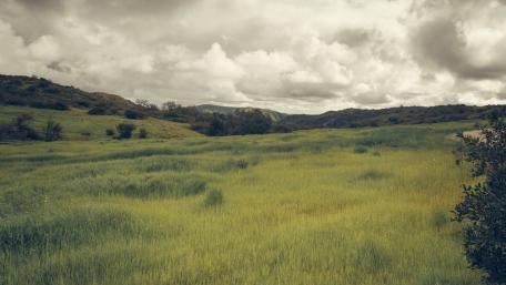 Serene Green Fields Under Cloudy Skies wallpaper