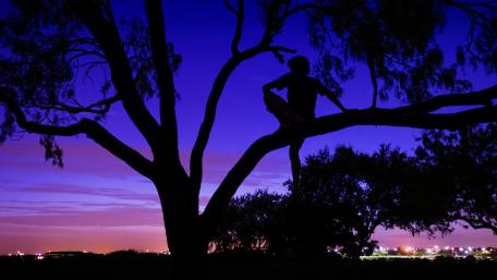 Twilight Serenity with a Silhouette in Nature wallpaper