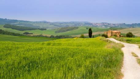 Serene Rural Landscape Embracing Green Hills and Fields wallpaper