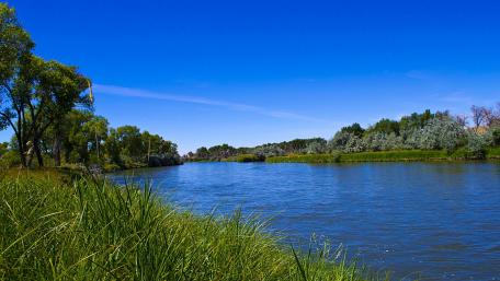 Serene River Under a Clear Blue Sky wallpaper