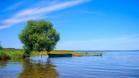 Serene Reflection of Nature's Beauty wallpaper