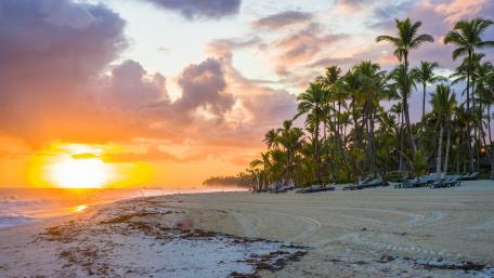 Tropical Sunrise by the Beach wallpaper