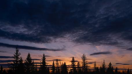 Serene Dusk Over a Majestic Forest wallpaper