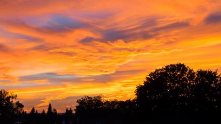 Fiery Sunset Over Silhouetted Trees wallpaper