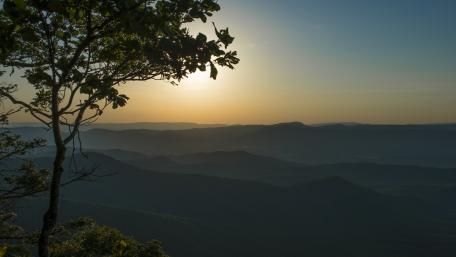 Serene Mountain Sunset View with Tree Silhouette wallpaper