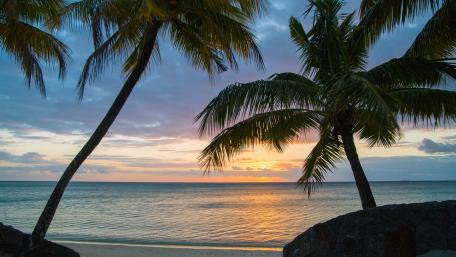 Tropical Serenity at Sunset wallpaper