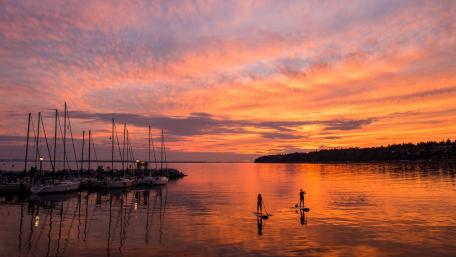 Paddle Boarding in the sunset wallpaper