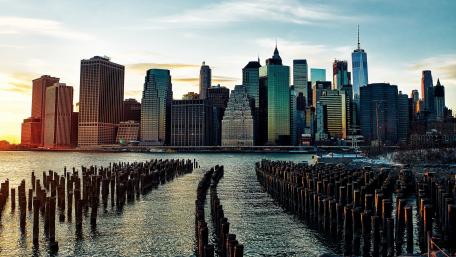 Stumps of the Brooklyn Bridge Park wallpaper