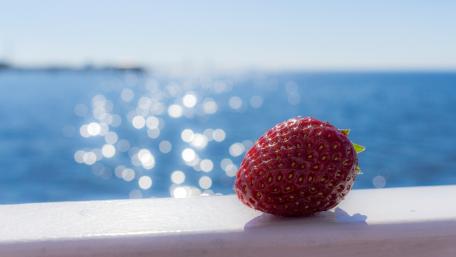 Fresh Strawberry by the Sea wallpaper