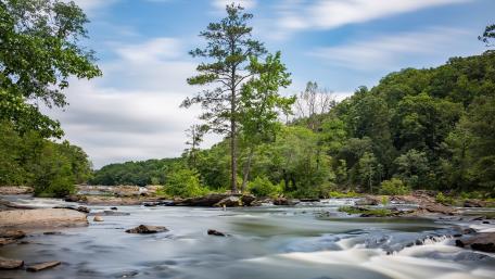 Tranquil River Landscape with Majestic Trees wallpaper