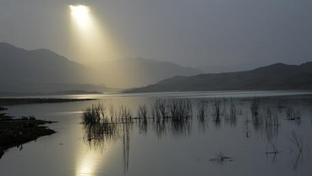 Serene Lake Under Glimmering Sunlight wallpaper